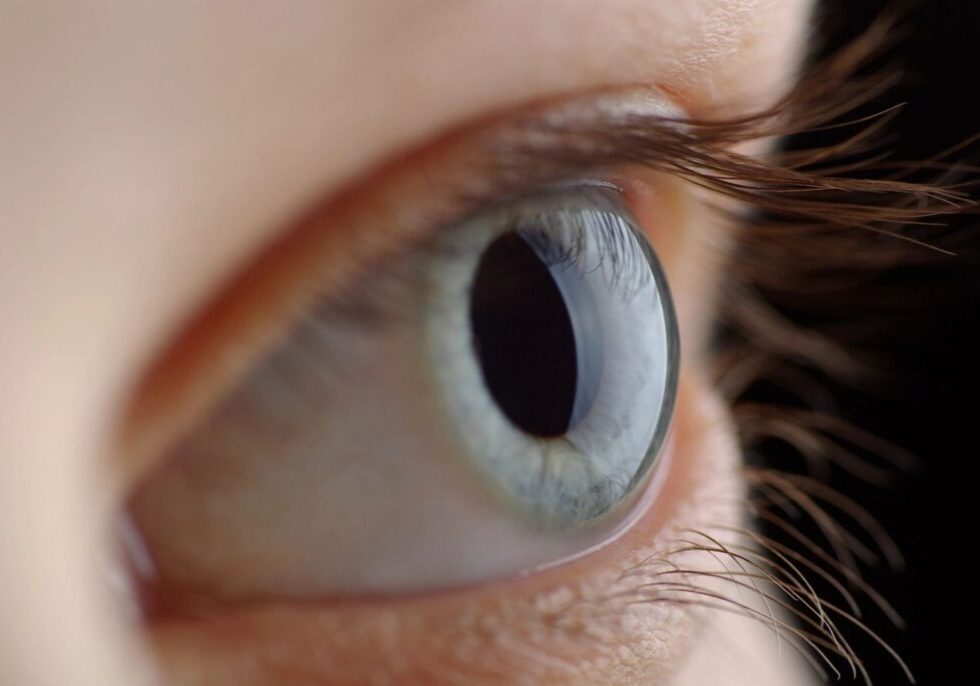 A close up of the eye of a person
